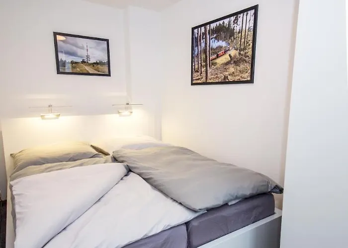 Harzlounge Apartment